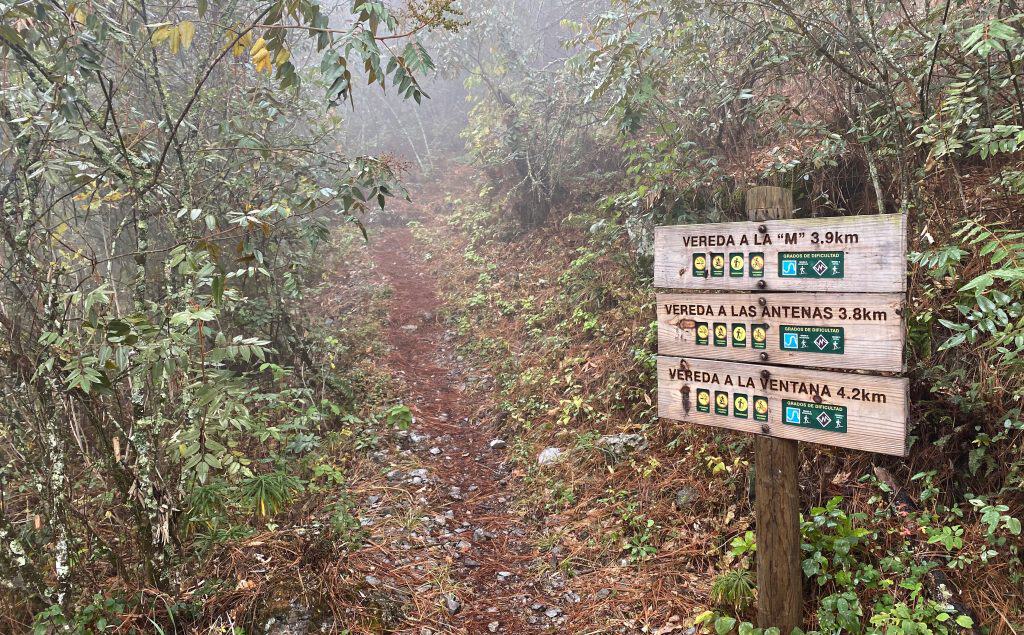 Image of trail signage to three different summit points in Chipinque, Nuevo León, pointing towards a wooded and leafy trail.